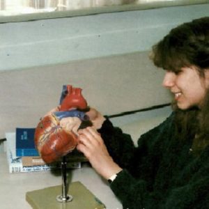 A student studying a model of a heart.